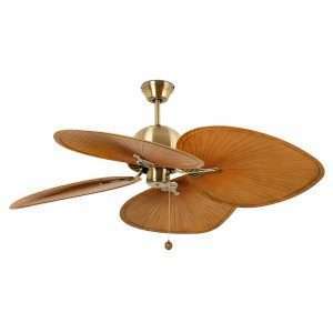 CUBA L Ventilador oro viejo 62 33352B